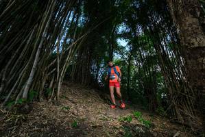 BIB: 
                            <button type="button" onclick="openModal(19395523)" class="btn btn-primary btn-sm float-right btn-popup" data-toggle="modal" data-target=".modal-high-quality">
                        <i class="fas fa-shopping-cart"></i> Add to Cart
                    </button>
                                            <button type="button" onclick="isThisMe(19395523, true)" class="btn btn-success btn-sm float-right btn-popup btn-isme hidden" data-toggle="tooltip" data-placement="bottom" title="นี่คือรูปของคุณใช่ไหม คลิกที่นี่เพื่อเอาเข้าอัลบั้ม">
                        <i class="fas fa-plus"></i> Add to album
                    </button>
                    <button type="button" onclick="isThisMe(19395523, false)" class="btn btn-warning btn-sm float-right btn-popup btn-isnotme hidden">
                        <i class="fas fa-ban"></i> Remove from album
                    </button>